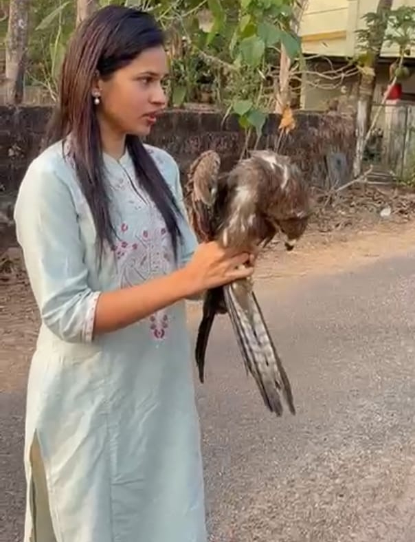 ಹೀಗೊಂದು ‘ಗಿಡುಗ’ ಪುರಾಣ !