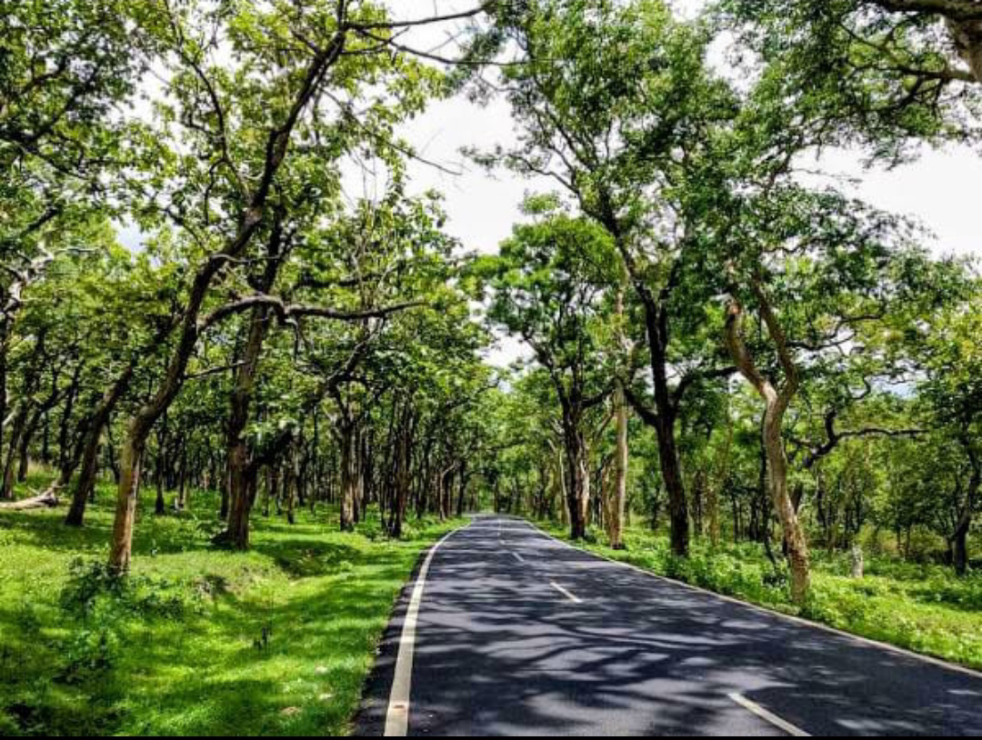 ಬಂಡೀಪುರ ರಾಷ್ಟ್ರೀಯ ಉದ್ಯಾನವನ
