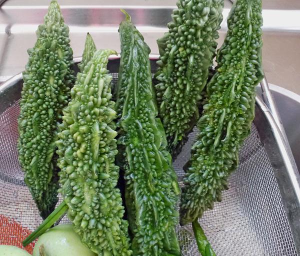 ಮಳೆಗಾಲದಲ್ಲಿ ಆರೋಗ್ಯ ಕಾಪಾಡುವ ಹಾಗಲಕಾಯಿ