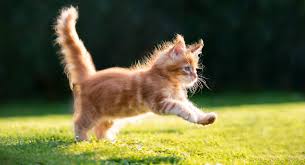 ಸ್ಟೇಟಸ್ ಕತೆಗಳು (ಭಾಗ ೧೩೫೭) - ವಿಪರ್ಯಾಸ