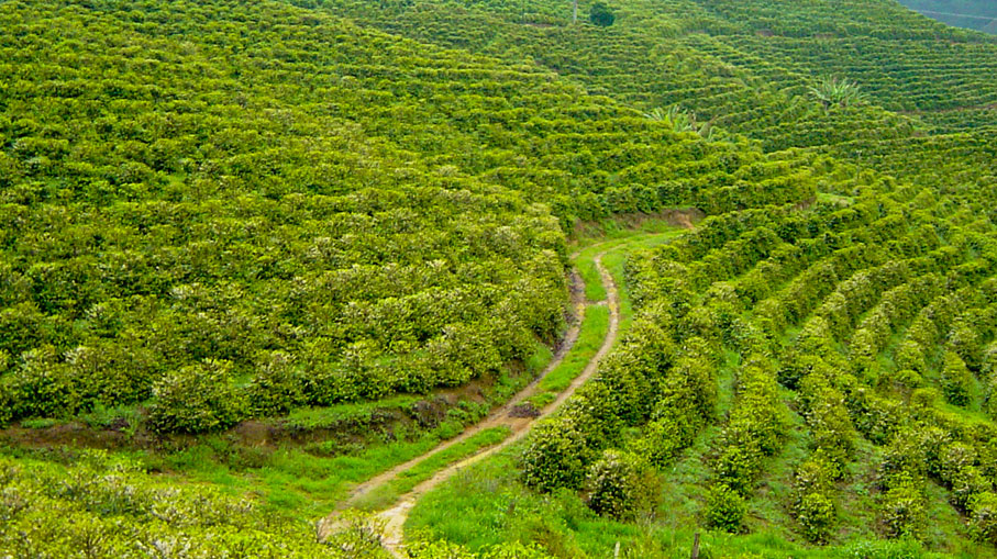 ಭಾನುವಾರದ ನಮ್ಮ ಕುಟುಂಬದ ದಿನಚರಿ (ಭಾಗ 2)