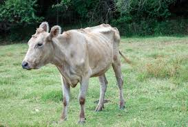 ಸ್ಟೇಟಸ್ ಕತೆಗಳು (ಭಾಗ ೧೬೦೨) - ಭರವಸೆ