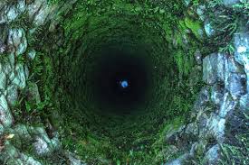 ಒಂದು ಒಳ್ಳೆಯ ನುಡಿ - 336