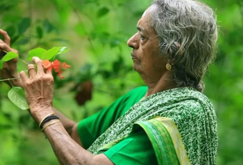 ಸಾವಿರದ ಮರಗಳ ‘ಮಾತೆ’ ದೇವಕಿ ಅಮ್ಮ ! 