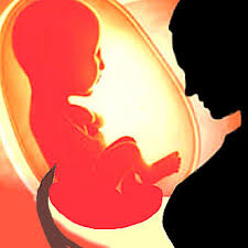 ಅವ್ವಾ ನಾ ಬರಿ ಭ್ರೂಣವಲ್ಲ…