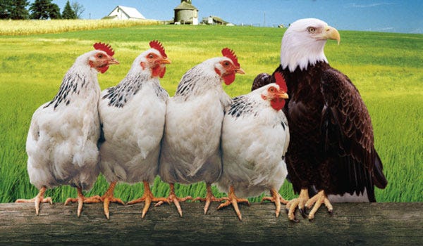 ಸಾಧಕರೊಂದಿಗೆ ಸಾಧನೆ