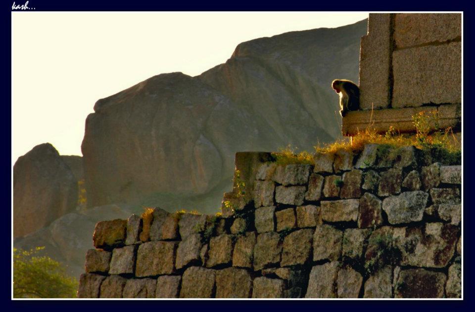 ನಾನೂ ಶೂನ್ಯ!