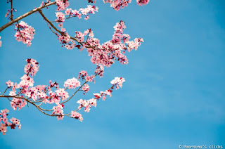 ಮತ್ತೆ ಬಂದಿದೆ ನಾಟಕ ಚೈತ್ರ! 