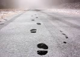 ಸ್ಟೇಟಸ್ ಕತೆಗಳು (ಭಾಗ ೧೪೮೦) - ರಸ್ತೆ 