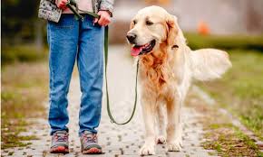 ಸ್ಟೇಟಸ್ ಕತೆಗಳು (ಭಾಗ ೧೧೮೫) - ಅರ್ಥವಾಗಲೇ ಇಲ್ಲ