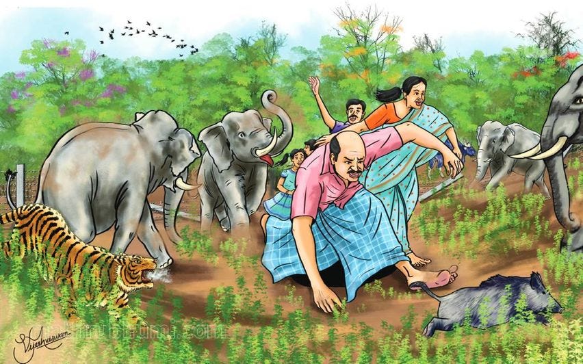 ಮಾನವ-ವನ್ಯಜೀವಿ ಸಂಘರ್ಷ ತಗ್ಗಿಸಲು ಕ್ರಮ ಅತ್ಯಗತ್ಯ