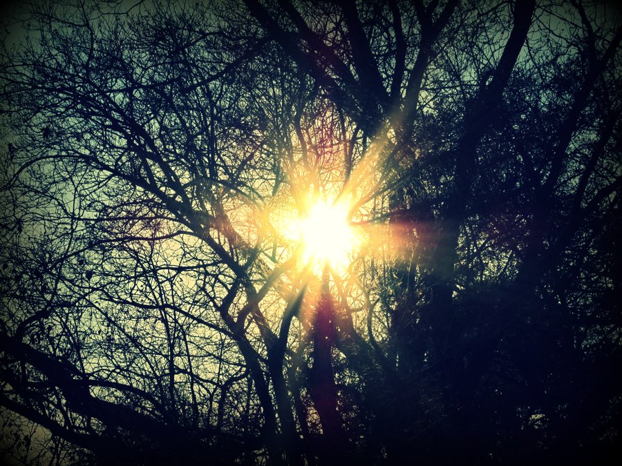    ' ಅರುಣೋದಯ ಕಿರಣ '