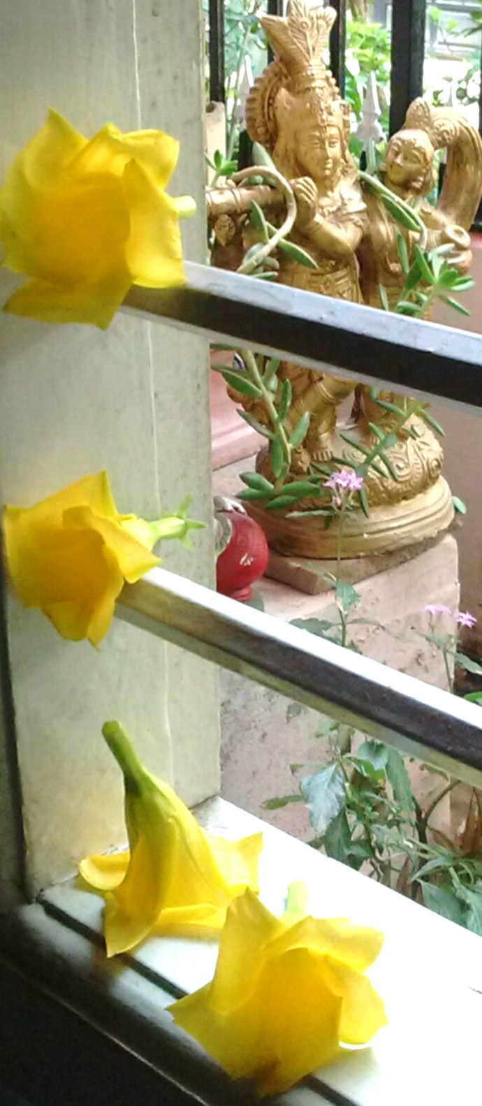 ತೆರೆದ ಕಿಟಕಿಯ ಹೂವುಗಳು