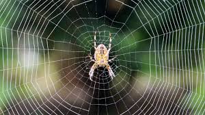 ಒಂದು ಒಳ್ಳೆಯ ನುಡಿ - 332