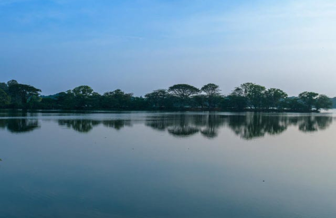 ಮೈಸೂರಿನ ಕುಕ್ಕರಳ್ಳಿ ಕೆರೆ