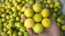 ನಿಂಬೆ ಹಣ್ಣು ಬಳಸಿ ಎಸೆಯುವ ಮುನ್ನ…