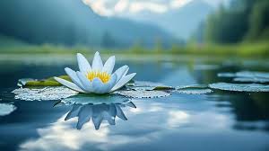 ಮನವು ತುಂಬುತ ಬರಲು