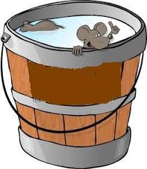 ಹೀಗೊಂದು ನೀತಿ ಕಥೆ