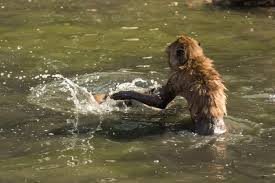 ಭಕ್ತಿ ಮತ್ತು ಧ್ಯಾನ (ಭಾಗ 2)