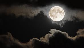 ಹನಿಗಳು ಸಾರ್ ಹನಿಗಳು !