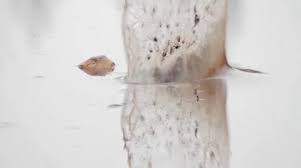 ಒಂದು ಒಳ್ಳೆಯ ನುಡಿ - 307