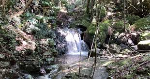 ಸ್ಟೇಟಸ್ ಕತೆಗಳು (ಭಾಗ ೧೬೨೯) - ಹೆಸರಿಲ್ಲ