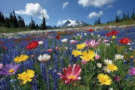 ಒಂದು ಒಳ್ಳೆಯ ನುಡಿ - 296