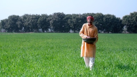 ಗಾಳಿಯೊಂದಿಗೆ ಬೆರೆತ ಕೀಟನಾಶಕದಿಂದ ದುರಂತ ಸಾವುಗಳು 