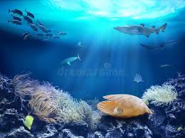 ನುಡಿ ಮುತ್ತು