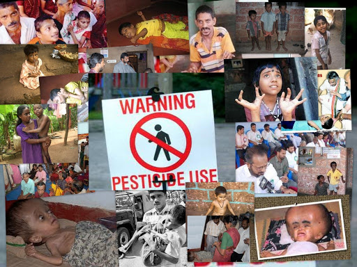 ಶವವಾಗುವ ಮುನ್ನ ಎಚ್ಚೆತ್ತುಕೊಳ್ಳಿ......