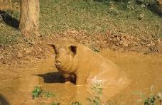 ಹನಿಗಳು ಸಾರ್ ಹನಿಗಳು !