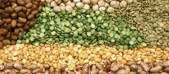 ದ್ವಿದಳ ಧಾನ್ಯ ಉತ್ಪಾದನೆ: ಅಗ್ರಸ್ಥಾನದ ಗುರಿ ಸಾಧನೆಯಾಗಲಿ