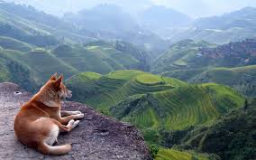 ಸ್ಟೇಟಸ್ ಕತೆಗಳು (ಭಾಗ ೧೪೦೦) - ಸತ್ಯ