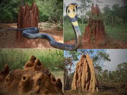 ಹನಿಗಳು ಸರ್ ಹನಿಗಳು !