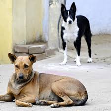 ಇನ್ನೊಂದು ಬಗೆಯ ‘ಸಂಯಮ’