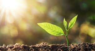 ಒಂದು ಒಳ್ಳೆಯ ನುಡಿ - 304