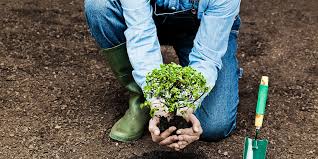 ಸ್ಟೇಟಸ್ ಕತೆಗಳು (ಭಾಗ ೧೩೪೭) - ಪರಿಸರ ದಿನ