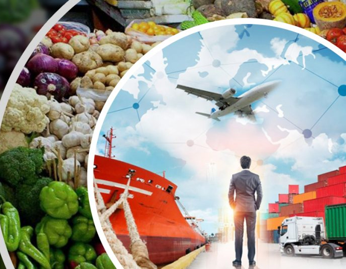 ಭಾರತಕ್ಕೆ ಹಣ್ಣು ಮತ್ತು ತರಕಾರಿ ರಫ್ತಿಗಾಗಿ ಇರುವ ವಿಪುಲ ಅವಕಾಶಗಳು 