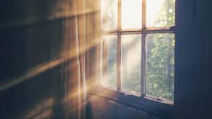 ಸ್ಟೇಟಸ್ ಕತೆಗಳು (ಭಾಗ ೧೬೩೨) - ಸೂರ್ಯ