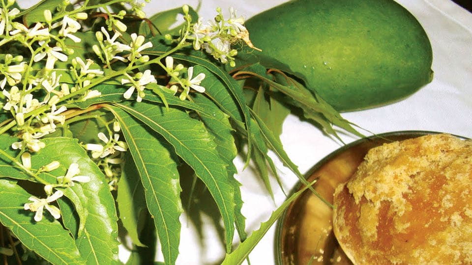 ಜೀವಕಳೆಯ ಪರ್ವ