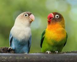 ಸ್ಟೇಟಸ್ ಕತೆಗಳು (ಭಾಗ ೧೬೦೬) - ಭಗವಂತ